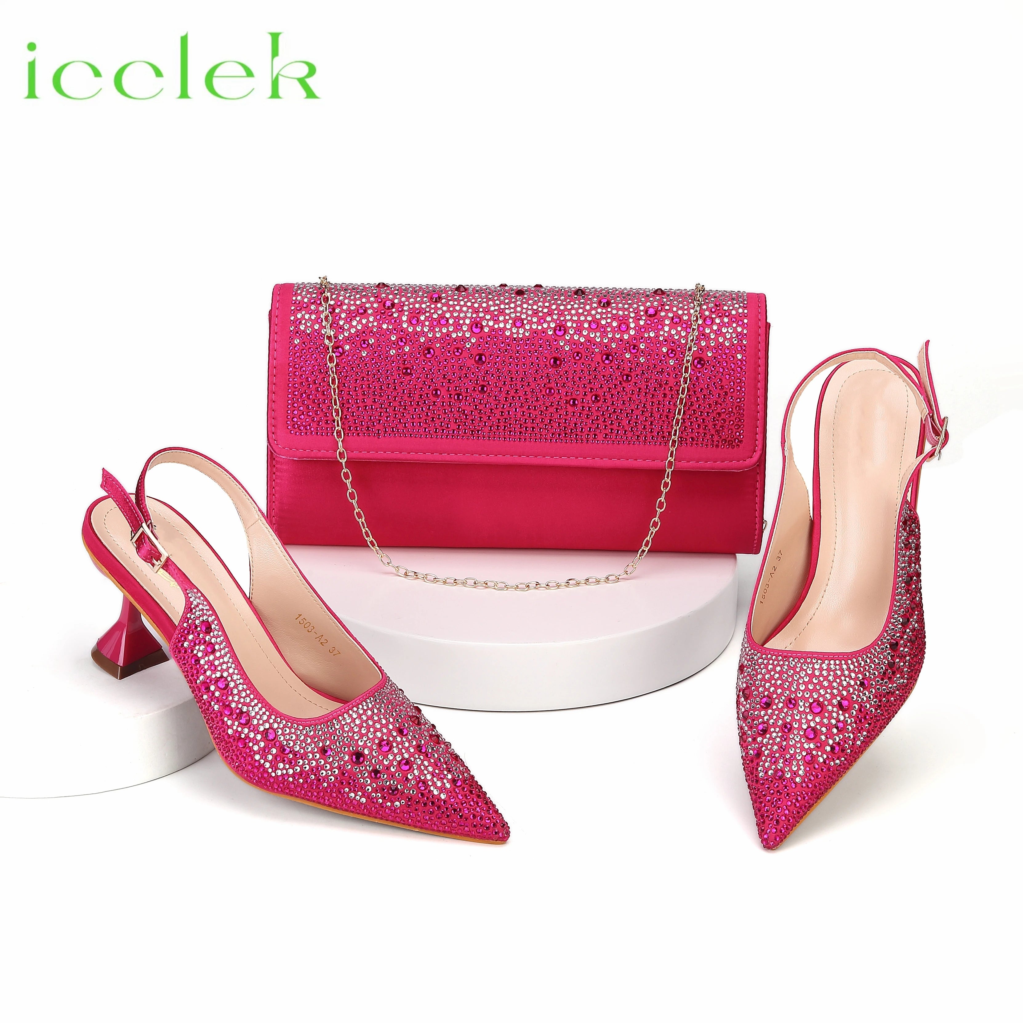 Pointed Toe Shoes Matching Bag Set For Offices Ladies Party in Dress