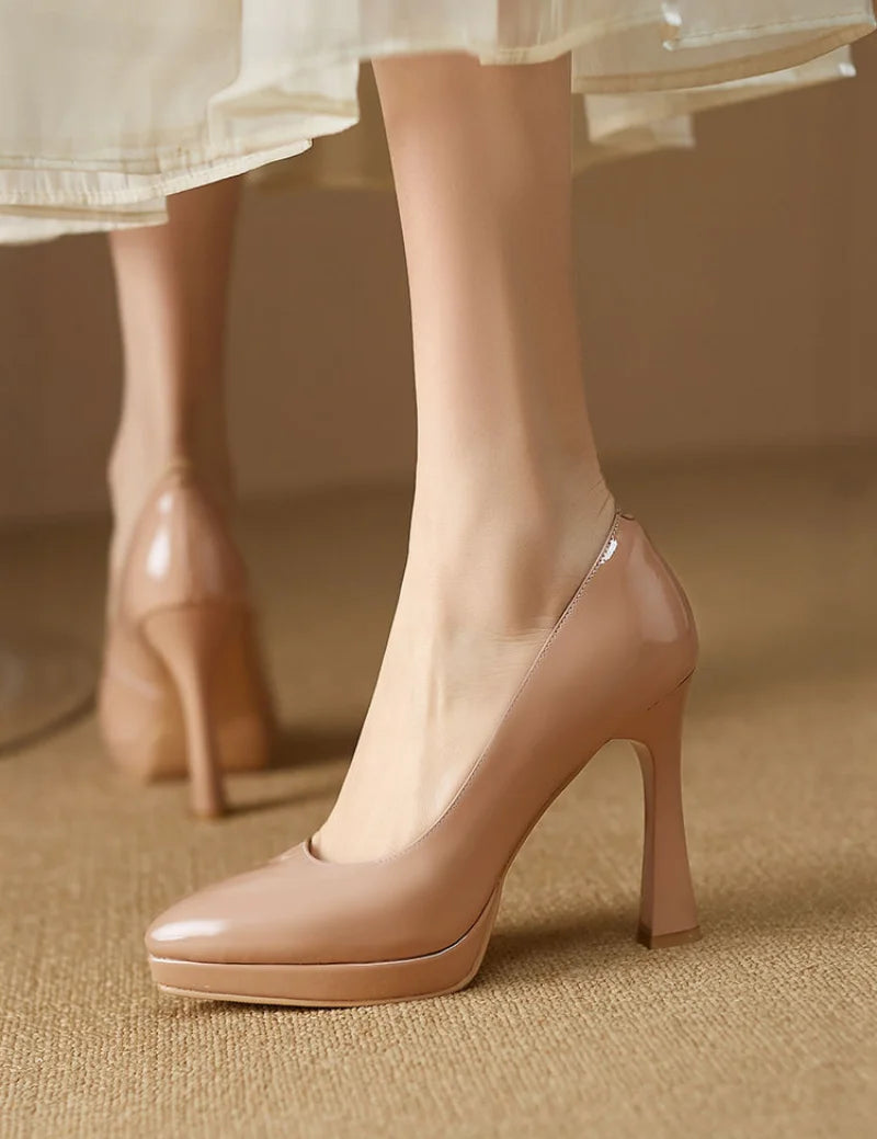 Stiletto Heel Pumps with Perfect Fit--Shoes for Women Evening Pointed Toe Ladies Summer Footwear Super High Heel-Fashionable & Classic