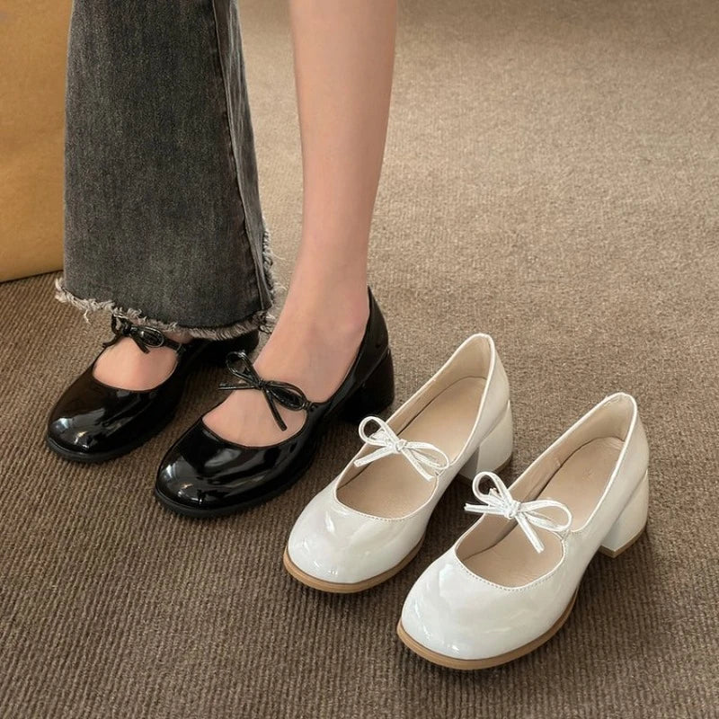 Trendy Chunky Heel Pumps for Casual Wear--Sohiwoo 2024 New Women's High Heels, Square Heels, Garden Head, Shallow Mouth Shoes, Comfortable and Fashionable for Women